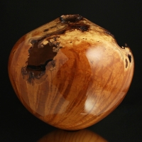 Natural Mulberry Burl Hollow Form
