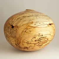 Spalted Wormy Natural Hollow