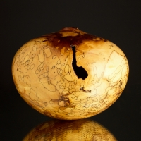 Ultra Gloss Fine Line Spalted Dogwood Hollow Form