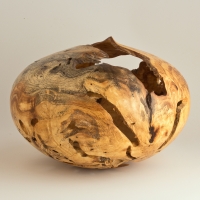 Wormy White Mulberry Burl Hollow