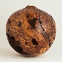 Small Voided Oak Burl Hollow