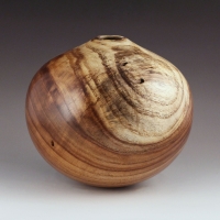 Two Tone Mimosa Hollow Form
