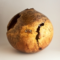 Creedmoor Rd. Large Voided Maple Burl Hollow - $1420.00