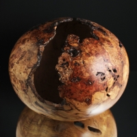 Very Spalted Natural Maple Burl Hollow - $1360.00