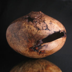 Voided Large Maple Burl Hollow Form