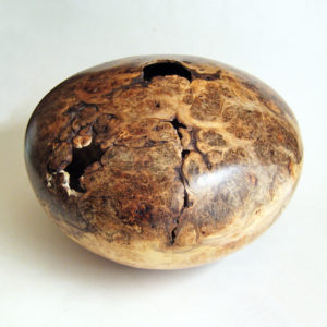 Large Spalted Two Tone Maple Burl Hollow