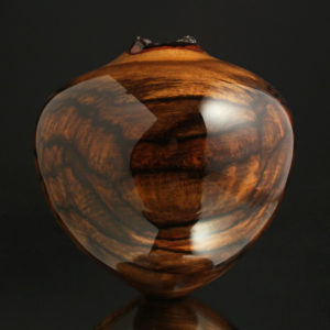 Ultra Gloss Spalted Persimmon Hollow