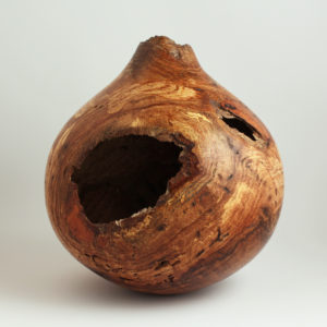 Voided Red Oak Burl Hollow
