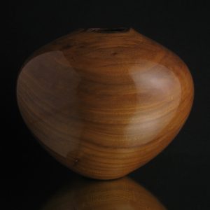 woodturning art - Natural Gloss Chinese Elm Hollow from Chowan County, NC