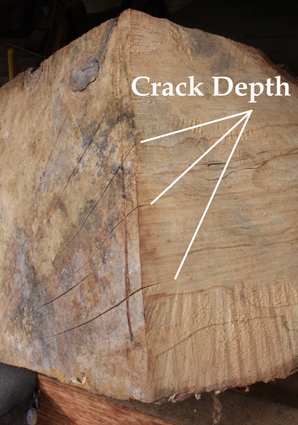 wood turning blank crack depth