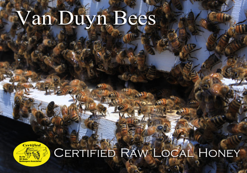 local honey - vanduyn bees