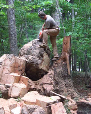Large Oak Burl cut for Wood Turning Blanks